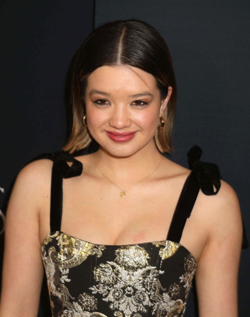 Peyton Elizabeth Lee at Expats Premiere in New York, January 2024 5