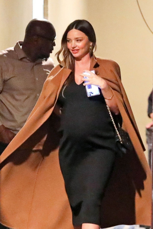 Pregnant Miranda Kerr Out for Dinner in Los Angeles, January 2024 3