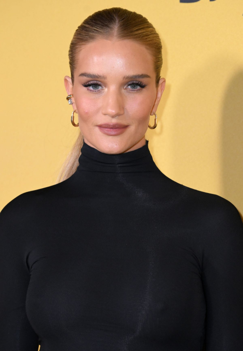 Rosie Huntington-Whiteley at The Beekeeper Premiere, January 2024 2