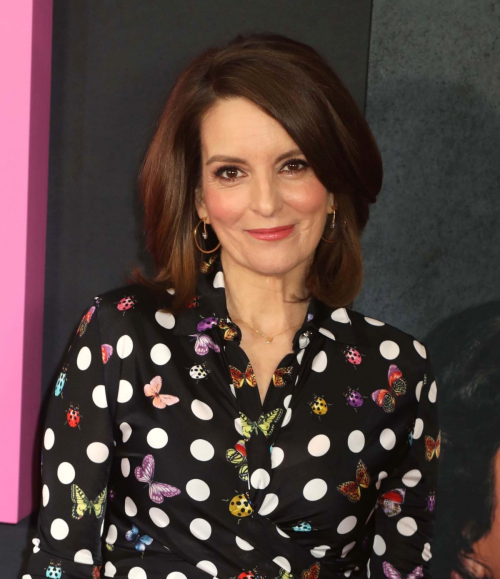 Tina Fey at Mean Girls Premiere in New York, January 2024 4