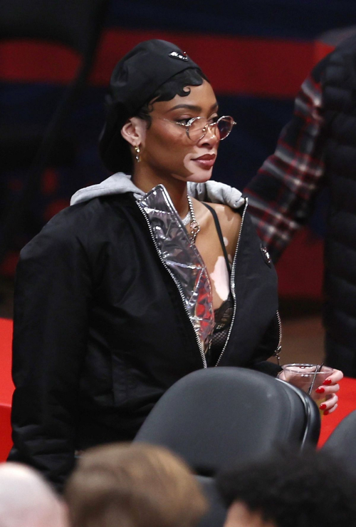 Winnie Harlow at Washington Wizards Game in Washington, January 2024 6