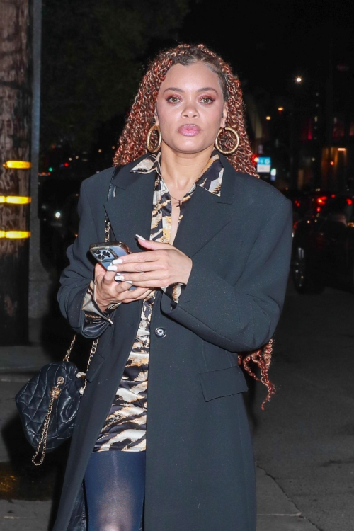 Andra Day Arrives at Private Event at Catch Steak Los Angeles, February 2024 3