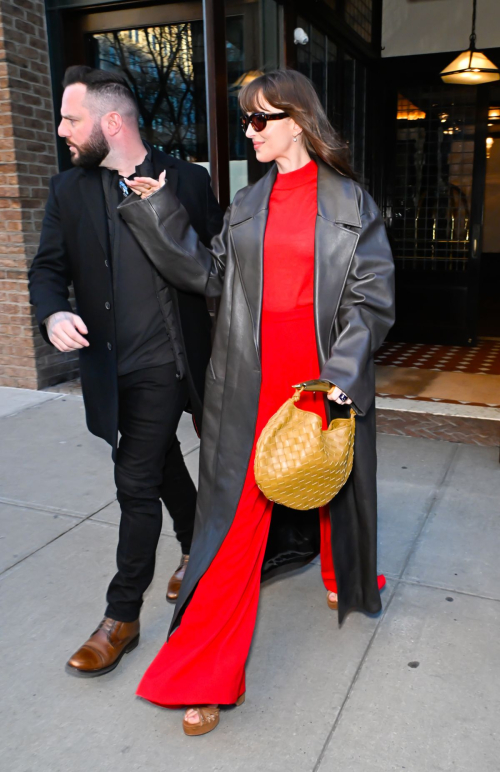 Dakota Johnson Leaving Greenwich Hotel in New York, February 2024 2