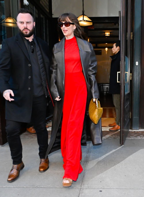 Dakota Johnson Leaving Greenwich Hotel in New York, February 2024 5