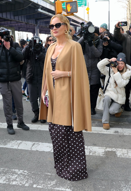 Diane Kruger at Carolina Herrera Show, February 2024