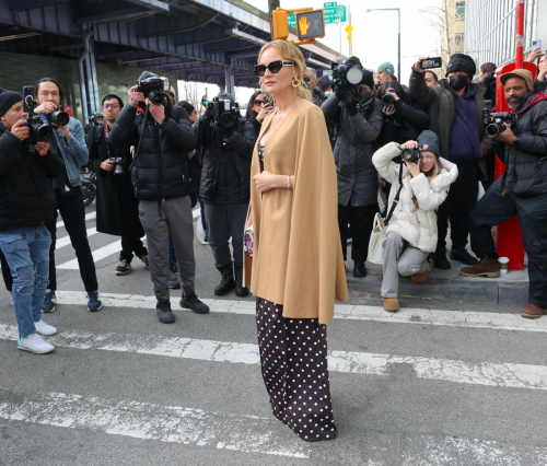 Diane Kruger at Carolina Herrera Show, February 2024 2