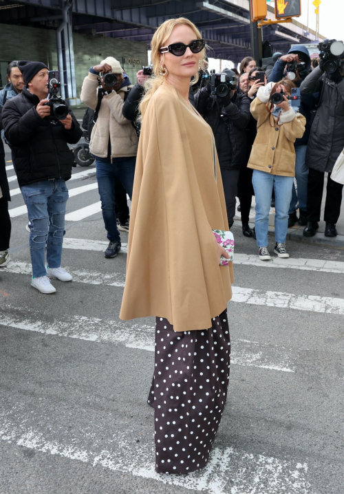 Diane Kruger at Carolina Herrera Show, February 2024 3