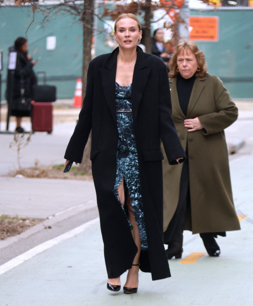 Diane Kruger at Jason Wu Show, February 2024 6