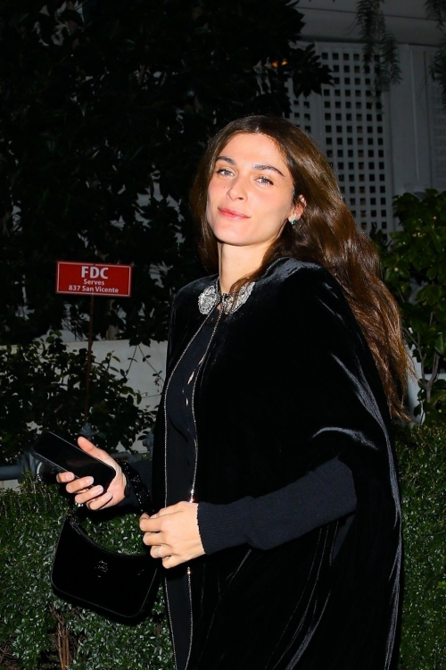 Elisa Sednaoui Attends Private Party in West Hollywood, February 2024 5