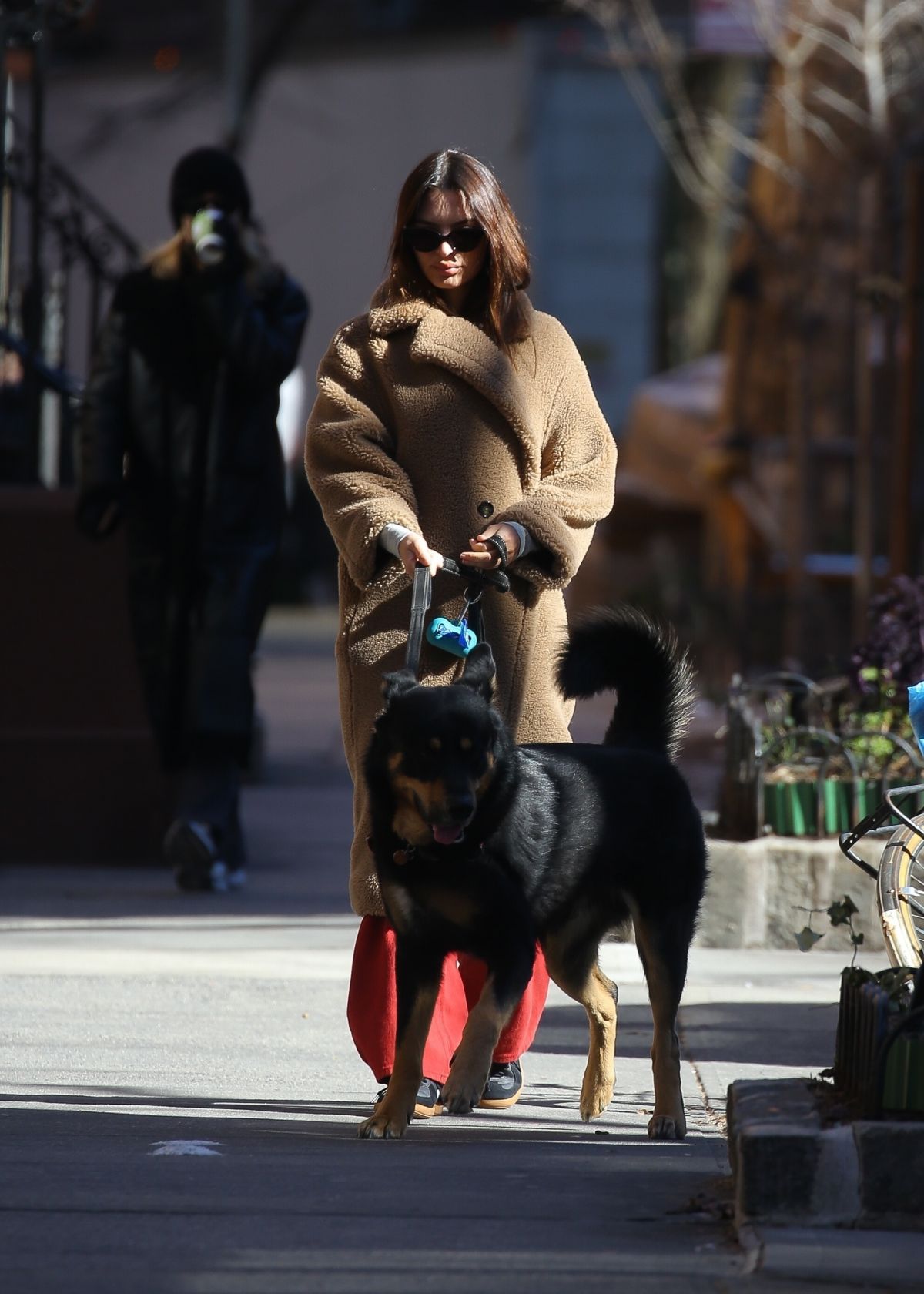 Emily Ratajkowski Out with Her Dog in New York, February 2024