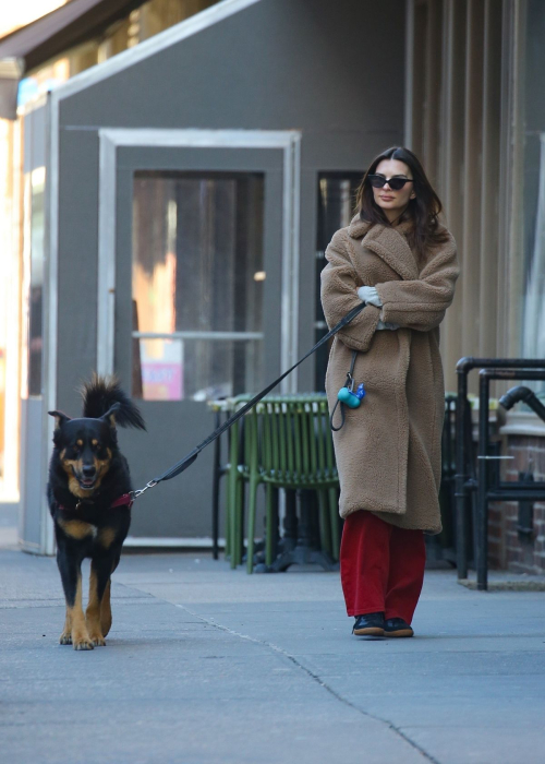 Emily Ratajkowski Out with Her Dog in New York, February 2024 1