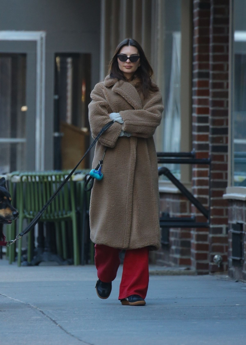 Emily Ratajkowski Out with Her Dog in New York, February 2024 2