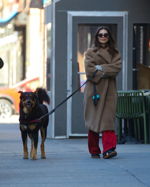 Emily Ratajkowski Out with Her Dog in New York, February 2024 3