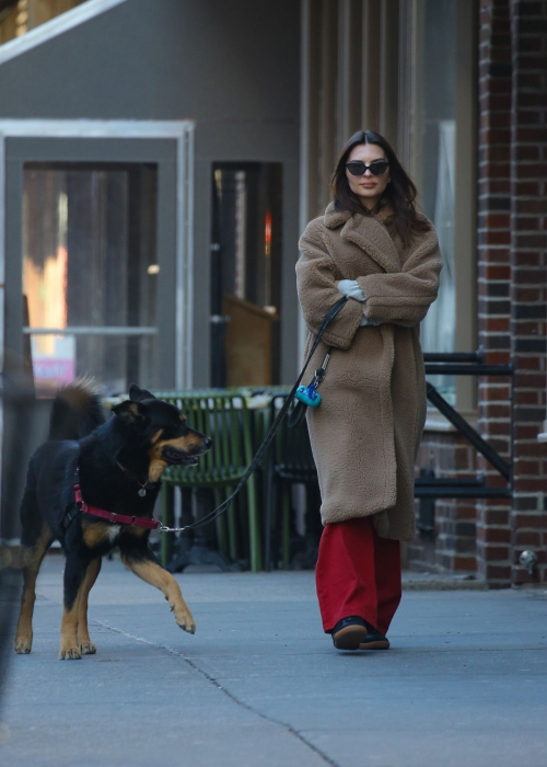 Emily Ratajkowski Out with Her Dog in New York, February 2024 4