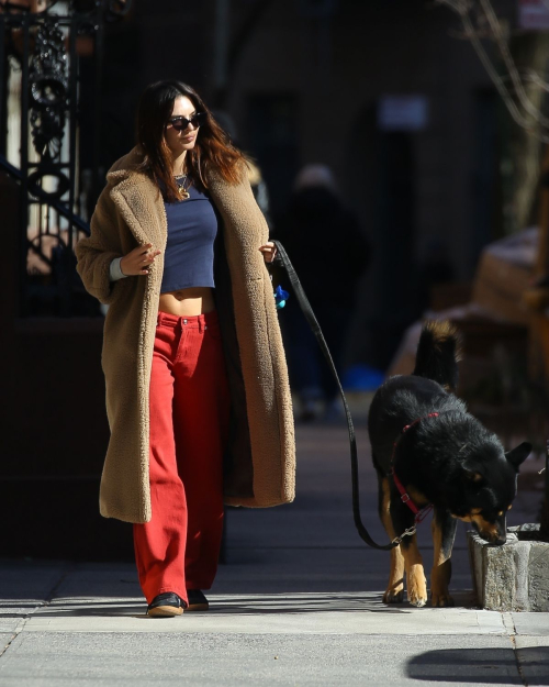 Emily Ratajkowski Out with Her Dog in New York, February 2024 5