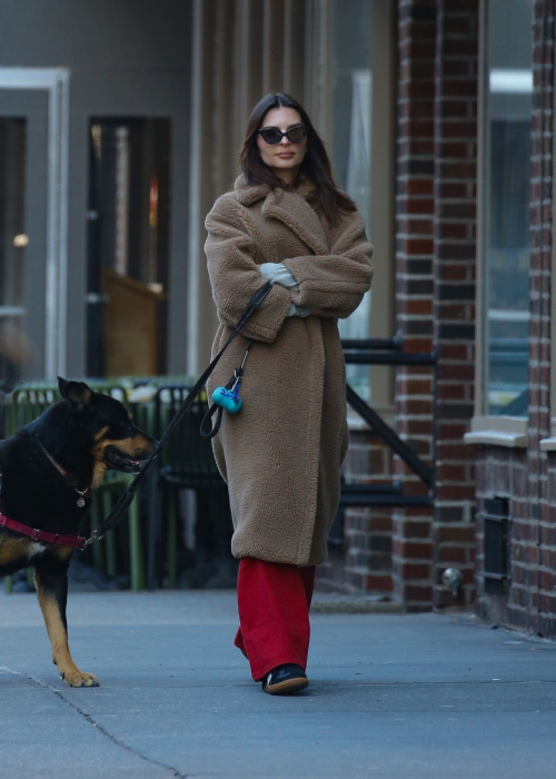 Emily Ratajkowski Out with Her Dog in New York, February 2024 6