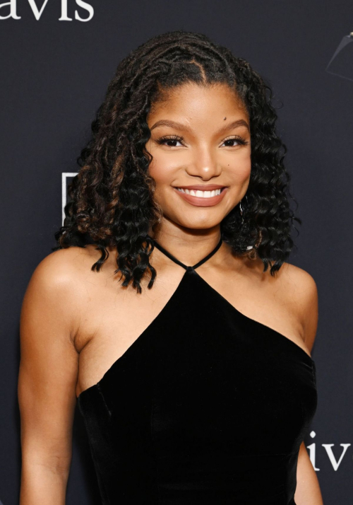 Halle Bailey at Clive Davis Pre-Grammy Gala in Los Angeles, February 2024 9