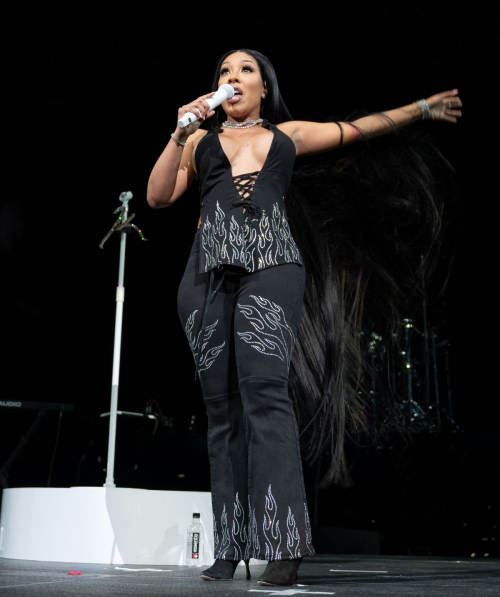 K. Michelle Performs at A Night of Love Tour in Newark, February 2024 5