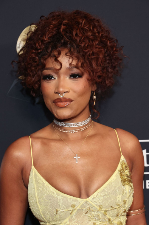 Keke Palmer at Clive Davis Pre-Grammy Gala in Los Angeles, February 2024 4