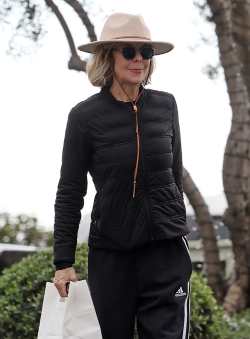 Meg Ryan Enjoys Lunch Pickup in Santa Barbara, February 2024 1