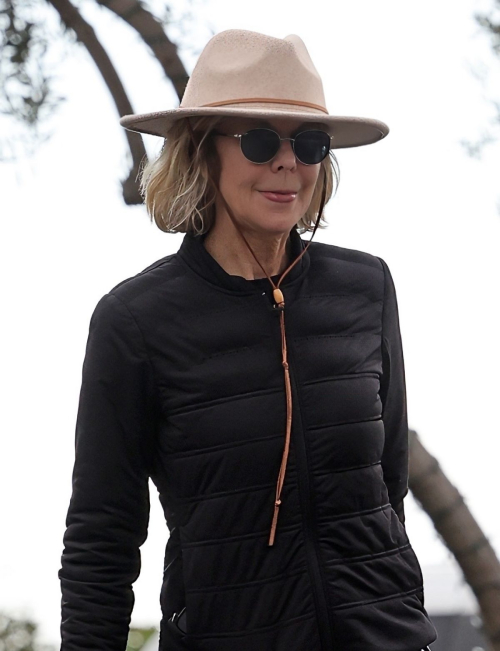 Meg Ryan Enjoys Lunch Pickup in Santa Barbara, February 2024 2