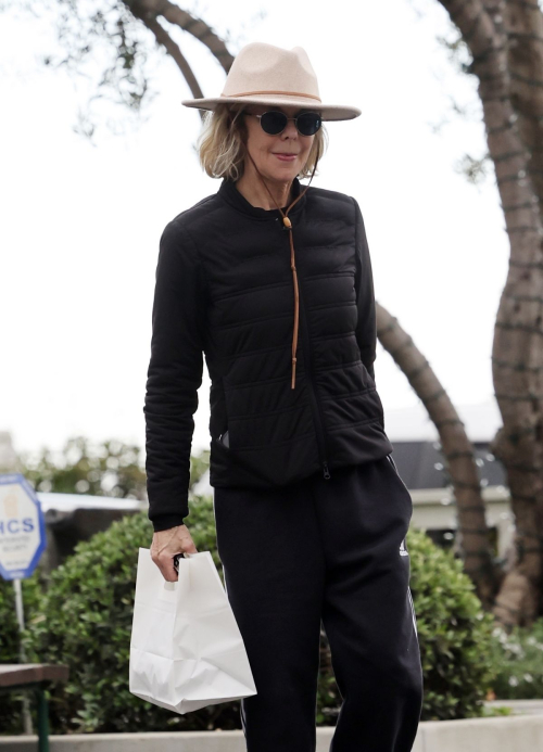 Meg Ryan Enjoys Lunch Pickup in Santa Barbara, February 2024 4