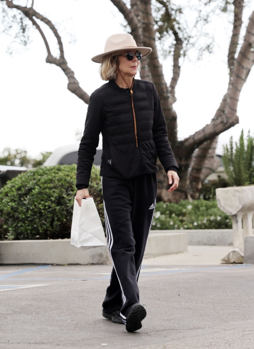 Meg Ryan Enjoys Lunch Pickup in Santa Barbara, February 2024 6