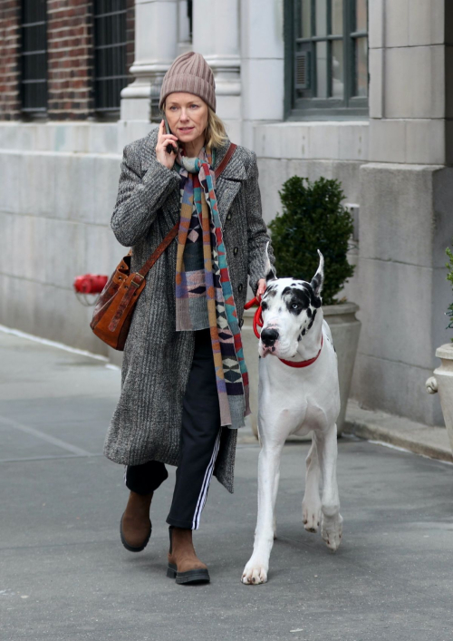 Naomi Watts on the Set of The Friend in Manhattan, February 2024 5