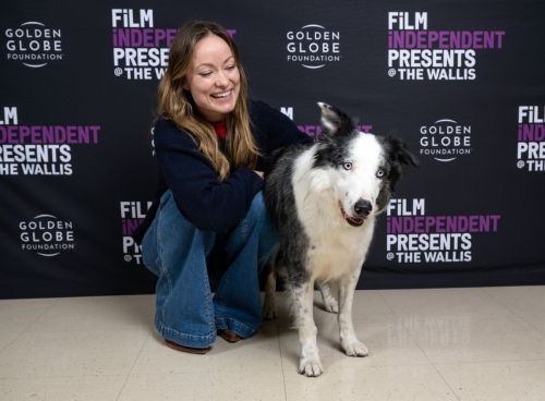 Olivia Wilde at Film Independent Live Read of Anatomy of A Fall, February 2024 4