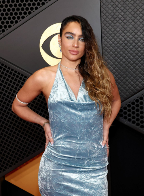 Sommer Ray at 66th Grammy Awards in Los Angeles, February 2024 6