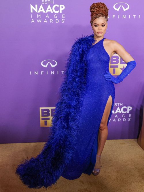 Andra Day at NAACP Image Awards in Los Angeles, March 2024 2