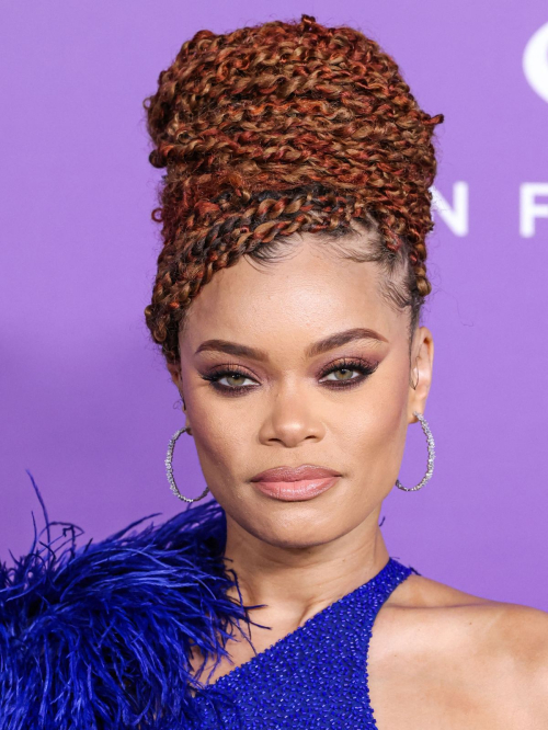 Andra Day at NAACP Image Awards in Los Angeles, March 2024 3