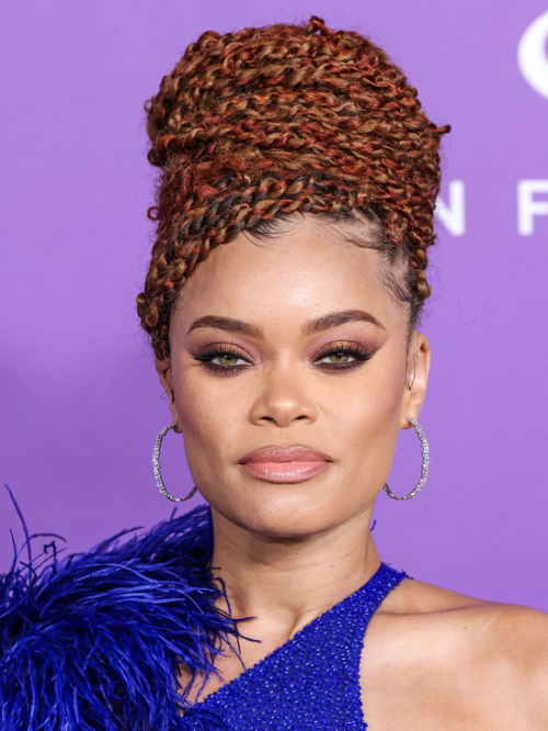 Andra Day at NAACP Image Awards in Los Angeles, March 2024 4