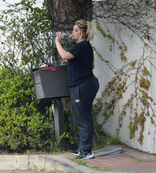 Bebe Rexha Shows off Boxing Skills with Trainer Los Angeles, March 2024 3