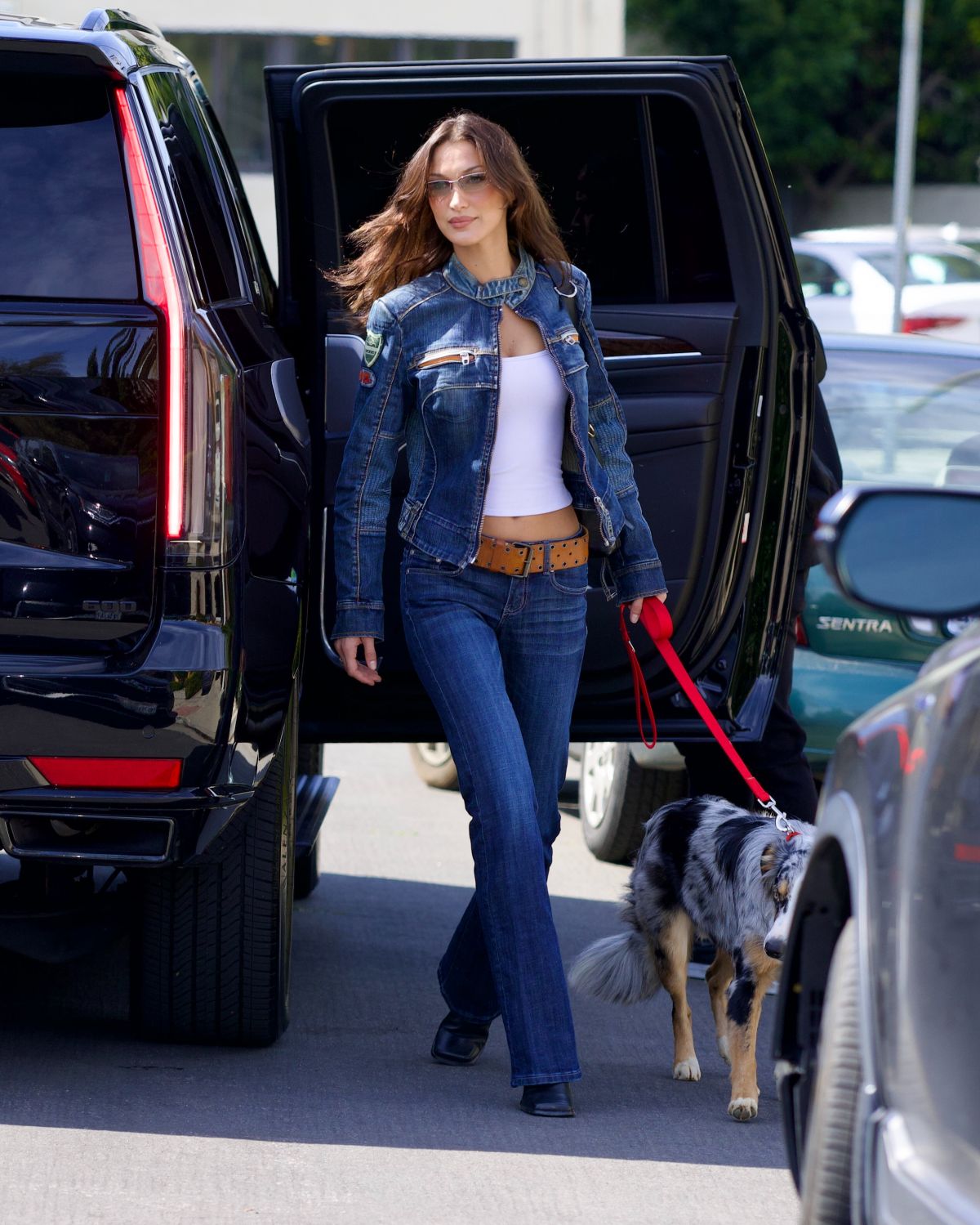 Bella Hadid in Double Denim Out with Her Dog in Los Angeles, March 2024