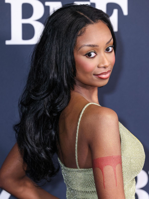 Desiree Mitchell at BMF Season 3 Premiere Hollywood, February 2024 3