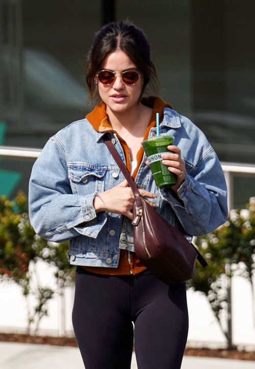 Lucy Hale Out Shopping at Erewhon in Studio City, March 2024 1