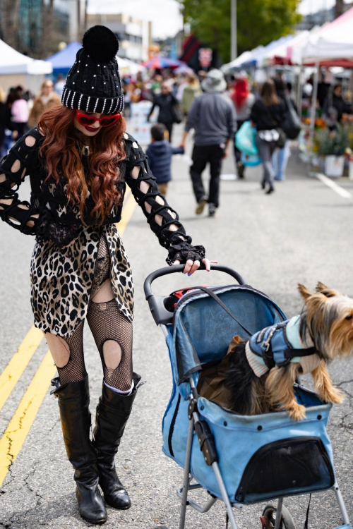 Phoebe Price Takes Her Dog for a Sunday Stroll Studio City, March 2024