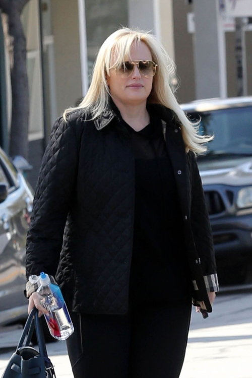 Rebel Wilson Amavi Artistry Salon Beverly Hills 2