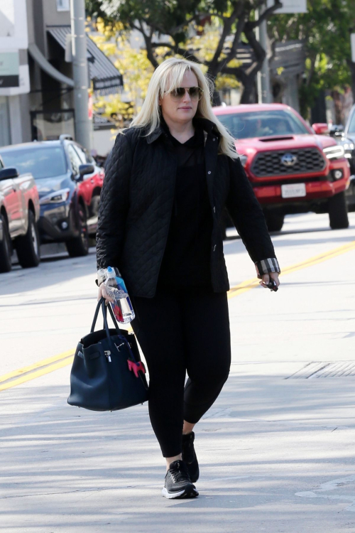 Rebel Wilson Amavi Artistry Salon Beverly Hills 3