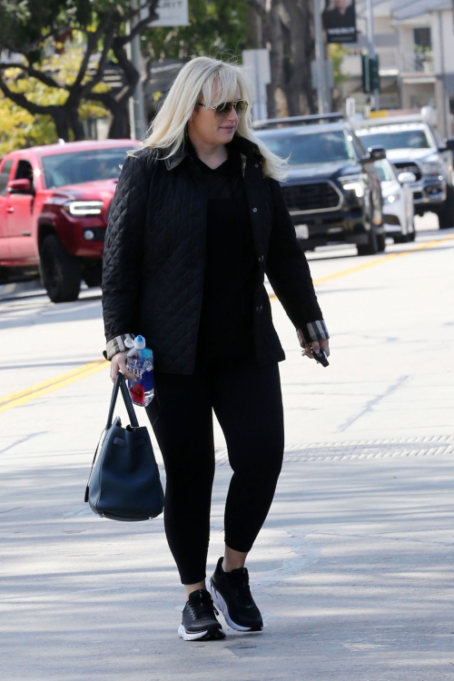 Rebel Wilson Amavi Artistry Salon Beverly Hills 5