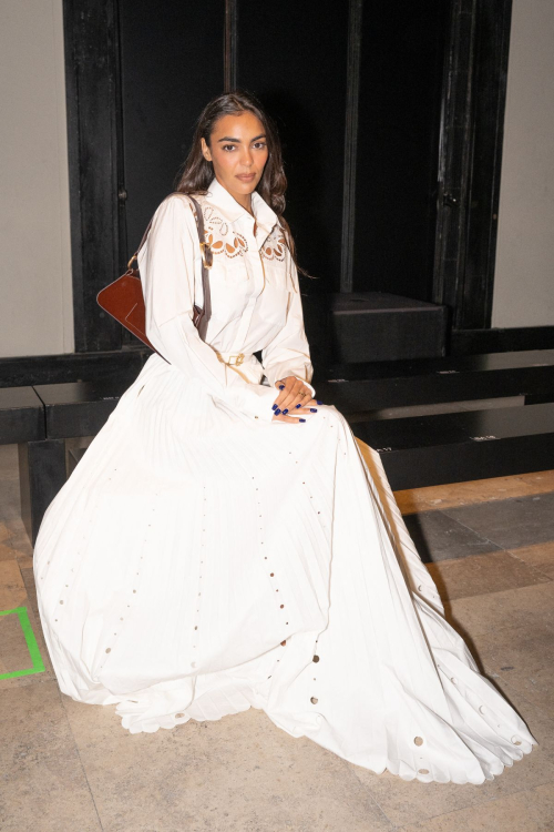 Sandra Shehab at Elie Saab Womenswear FW24-25 Show at Paris Fashion Week, March 2024 3