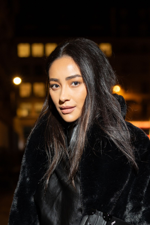 Shay Mitchell at Frame Fashion Week Dinner Paris, March 2024 10