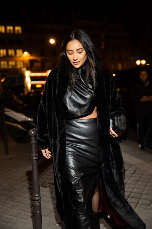 Shay Mitchell at Frame Fashion Week Dinner Paris, March 2024 2