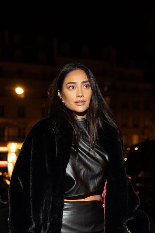 Shay Mitchell at Frame Fashion Week Dinner Paris, March 2024 3