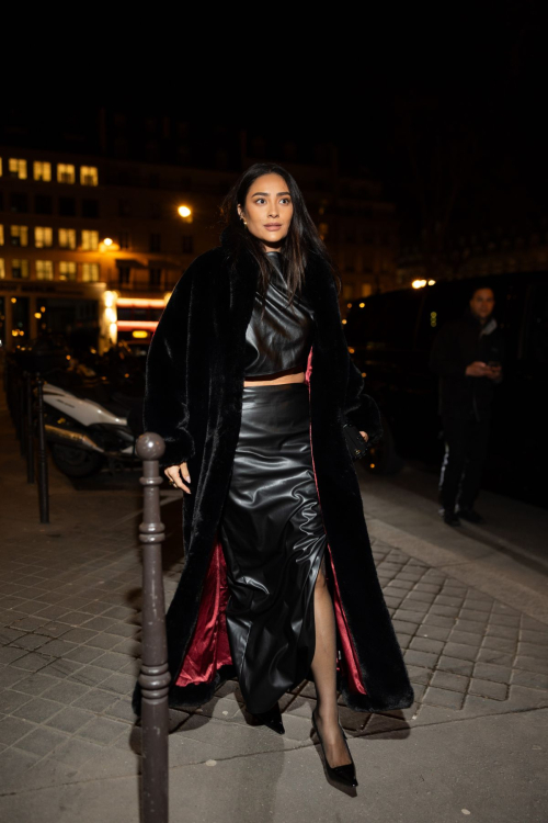 Shay Mitchell at Frame Fashion Week Dinner Paris, March 2024 4