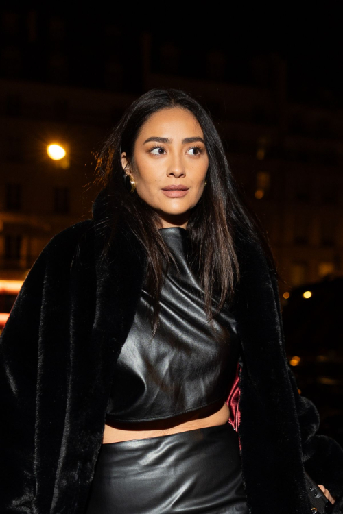 Shay Mitchell at Frame Fashion Week Dinner Paris, March 2024 5