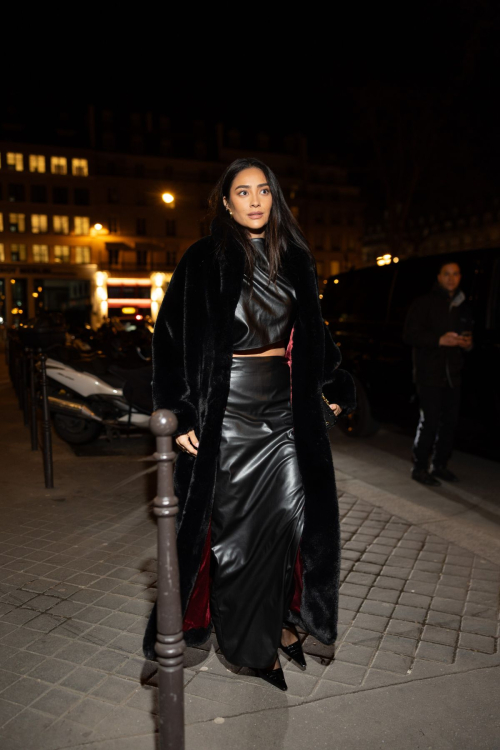 Shay Mitchell at Frame Fashion Week Dinner Paris, March 2024 7