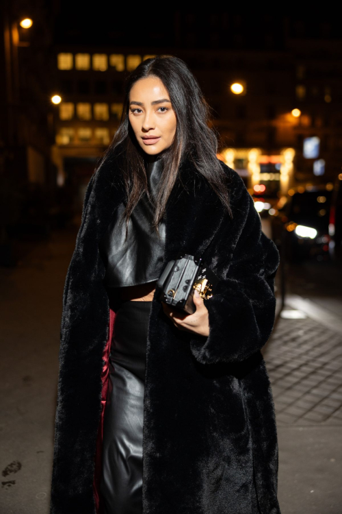 Shay Mitchell at Frame Fashion Week Dinner Paris, March 2024 8