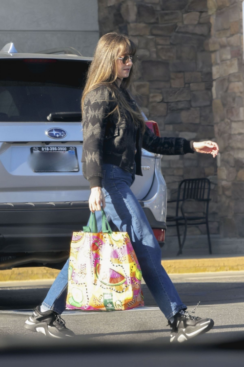 Alison Brie Seen Grocery Shopping in Los Feliz 6